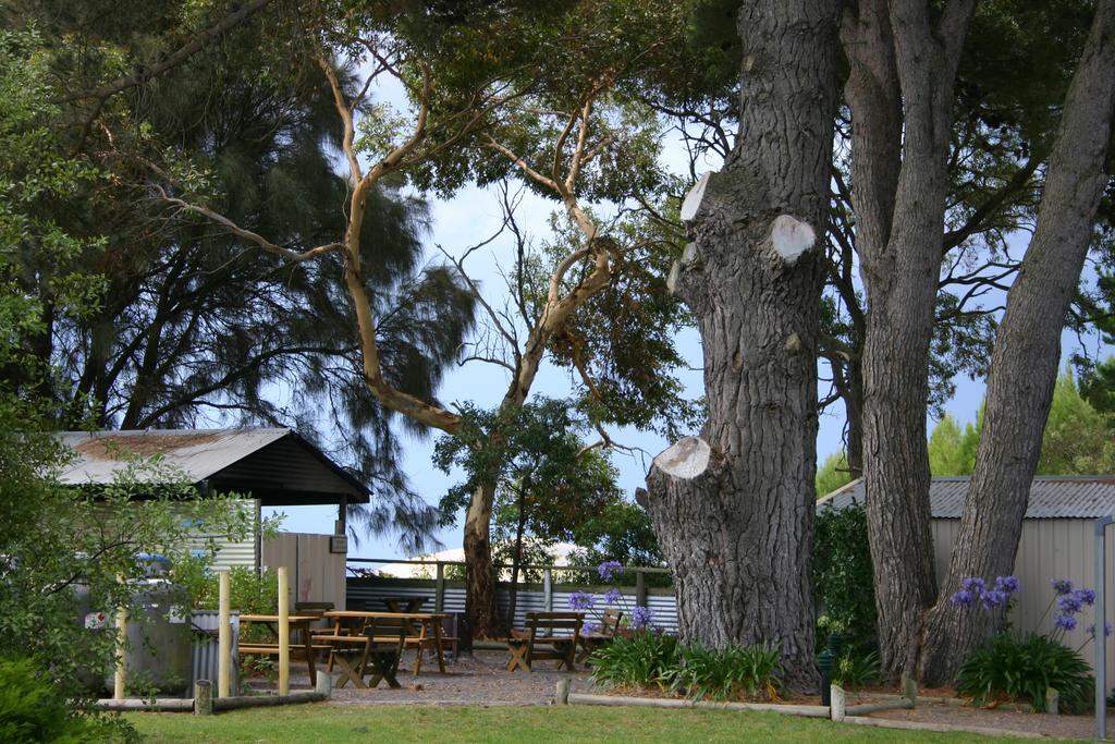 Millicent Hillview Caravan Park Exterior foto